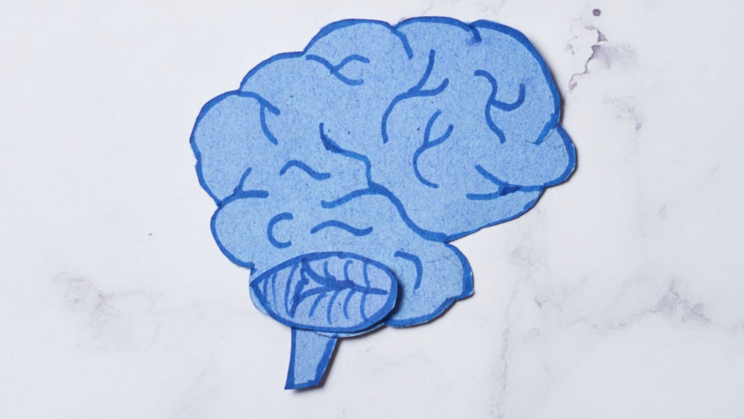 Why Repeated Reading Works and how To Use it Effectively